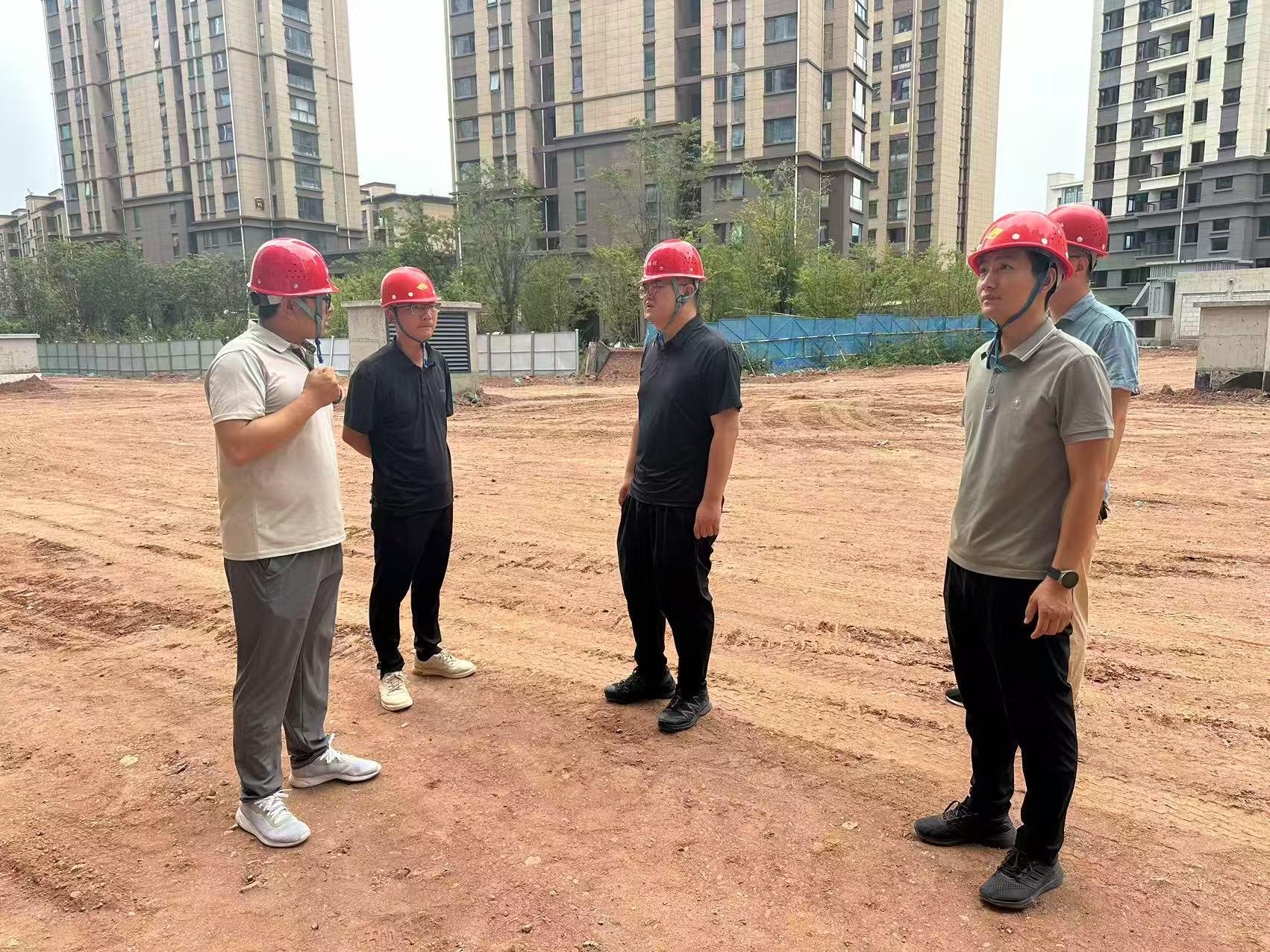 中共商洛市城投工程公司支部委员会开展&ldquo;党员先锋在行动 攻坚克难显担当&rdquo;主题党日活动